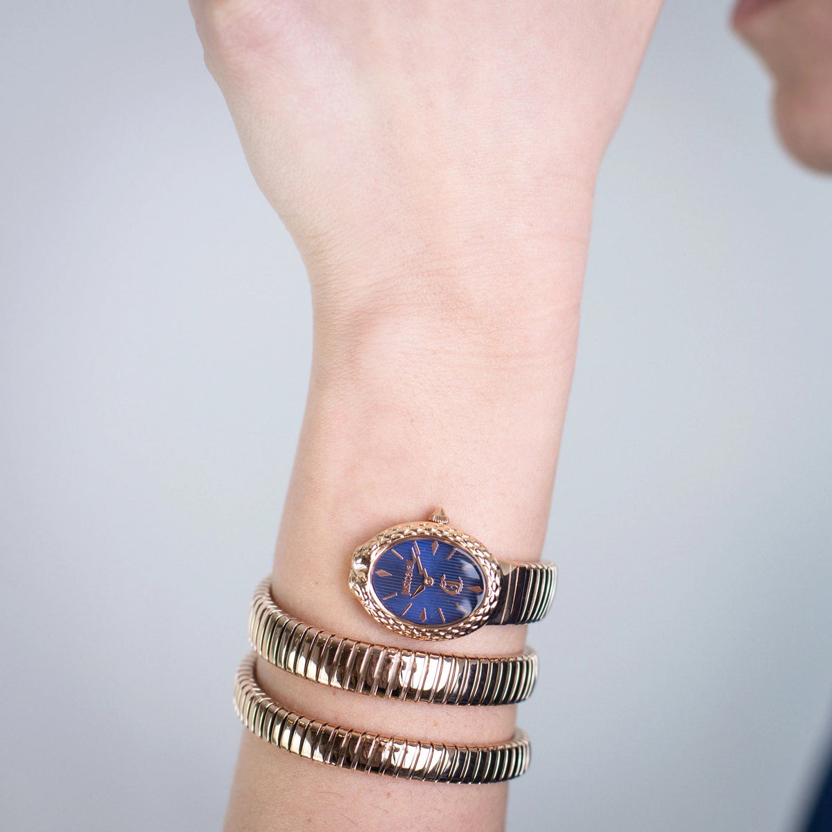 Just Cavalli Sognia Rose Gold Blue -korean beauty