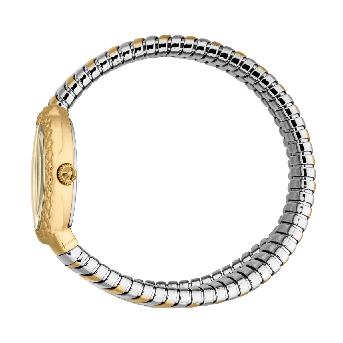 Just Cavalli Sognia Silver Yellow Gold Champagne -korean beauty