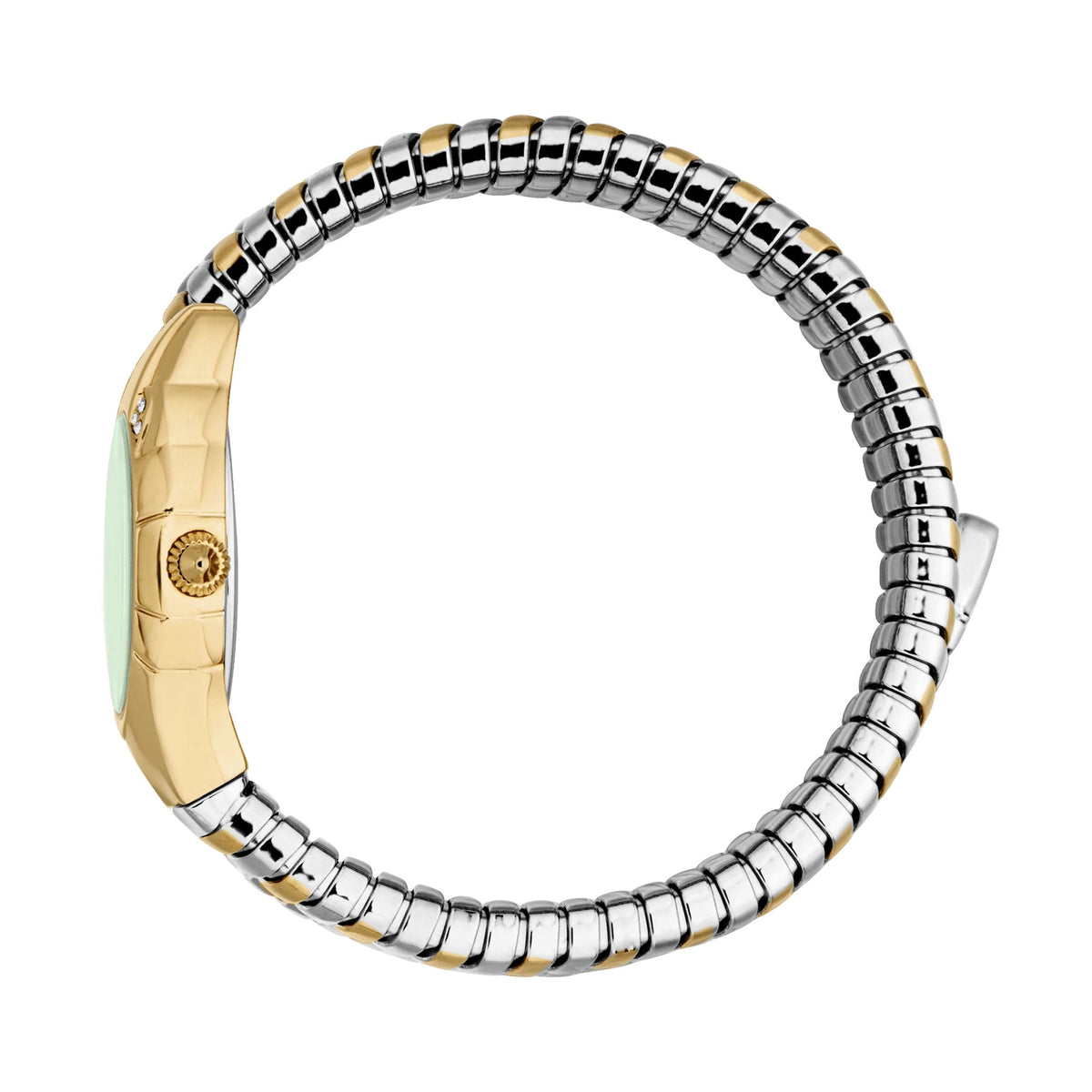 Just Cavalli Amanta Yellow Gold Silver Green -korean beauty