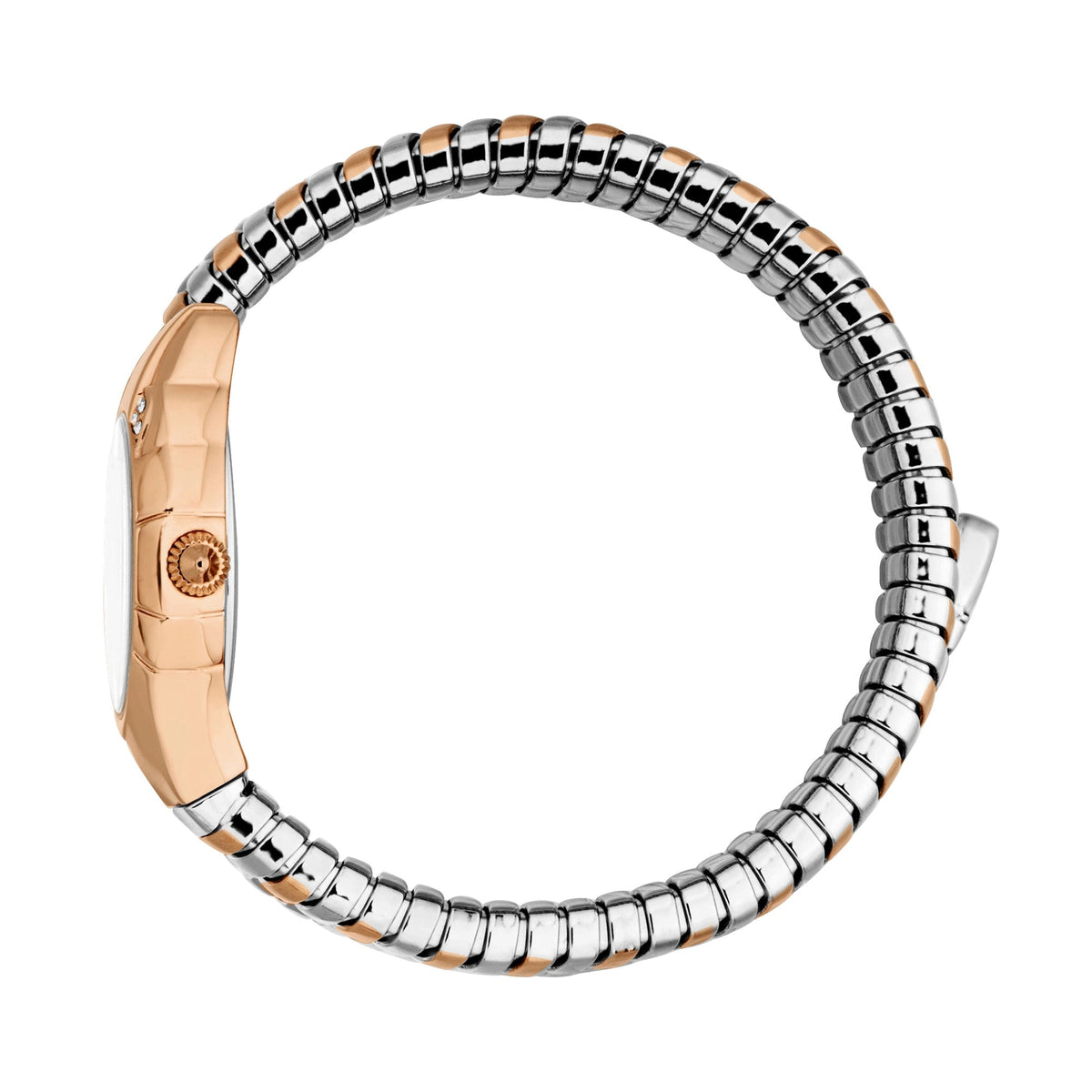 Just Cavalli Amanta Rose Gold Silver -korean beauty