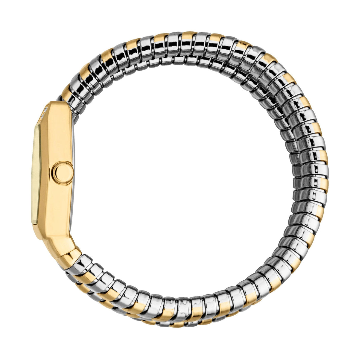 Just Cavalli Romina Silver Yellow Gold Champagne -korean beauty