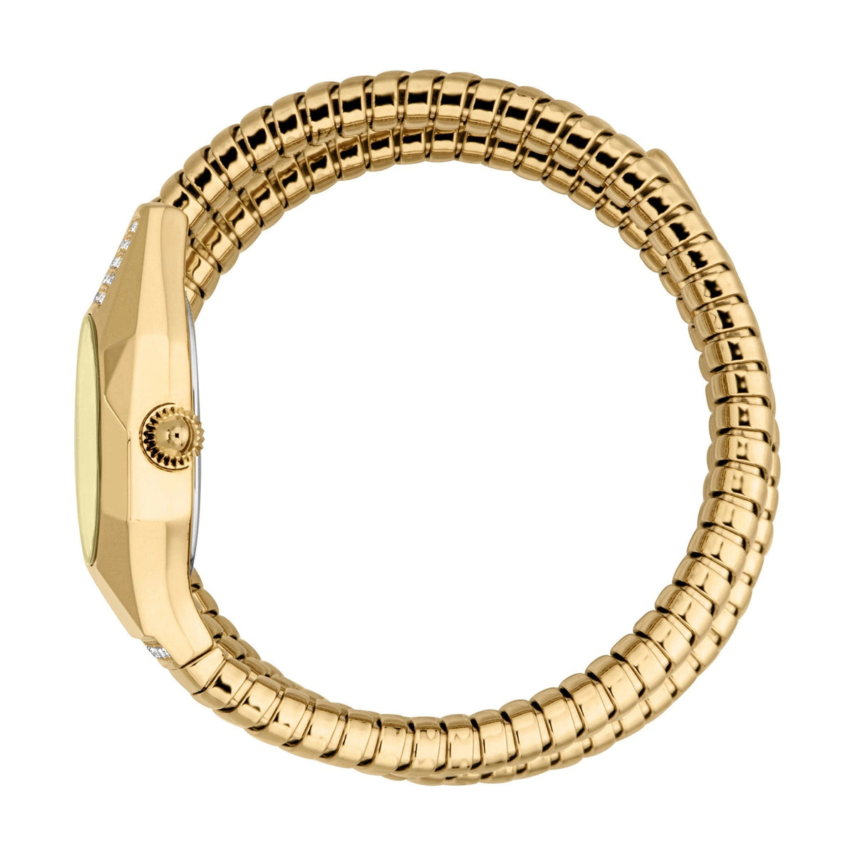 Just Cavalli Lunara Yellow Gold Champagne -korean beauty