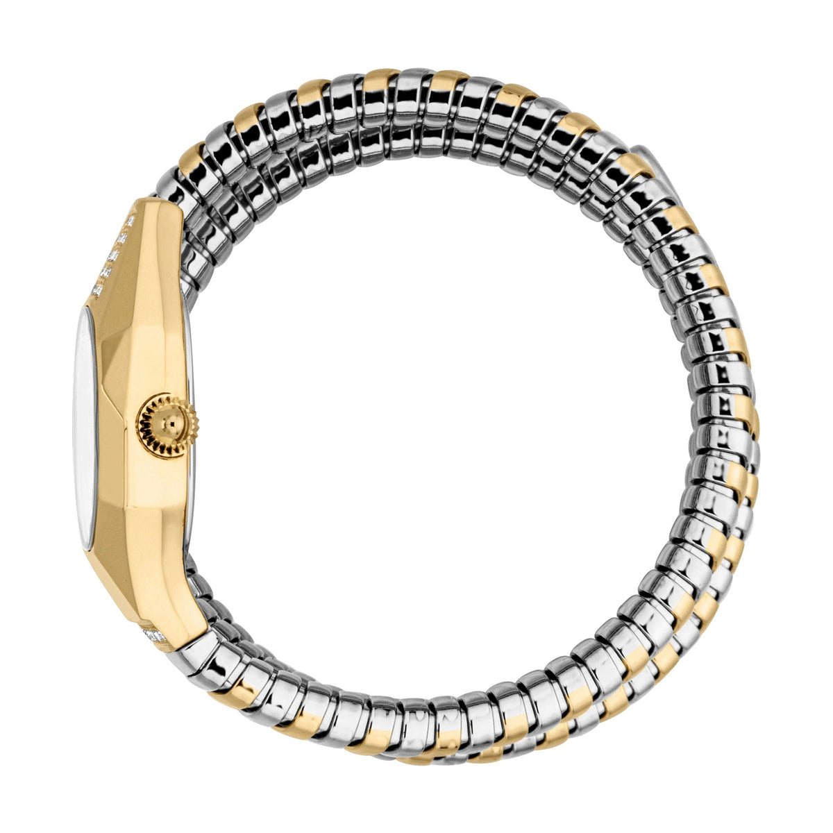 Just Cavalli Lunara Silver Yellow Gold Silver -korean beauty