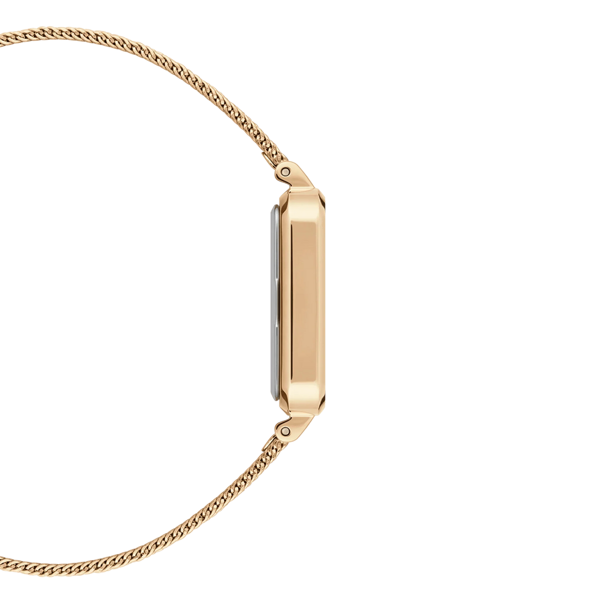 Daniel Wellington Ladies Gold Watch Dw00100556 Copy -korean beauty
