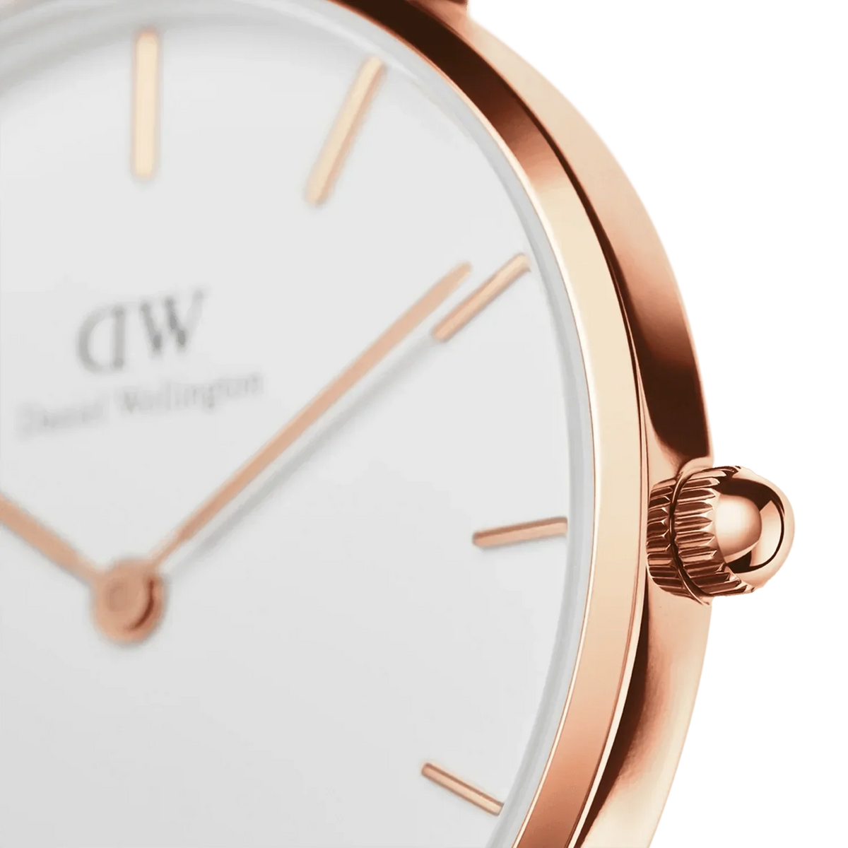 Daniel Wellington Ladies Petitedover White Watch Dw00100313 -korean beauty