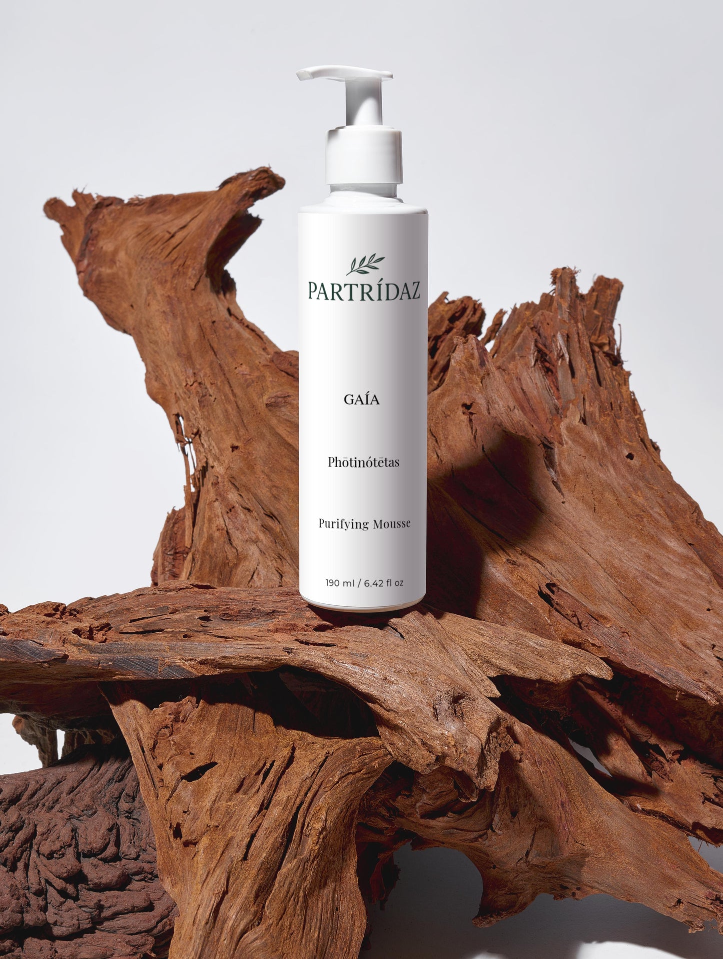 purifying-mousse-artemis-photinotetas-partridaz